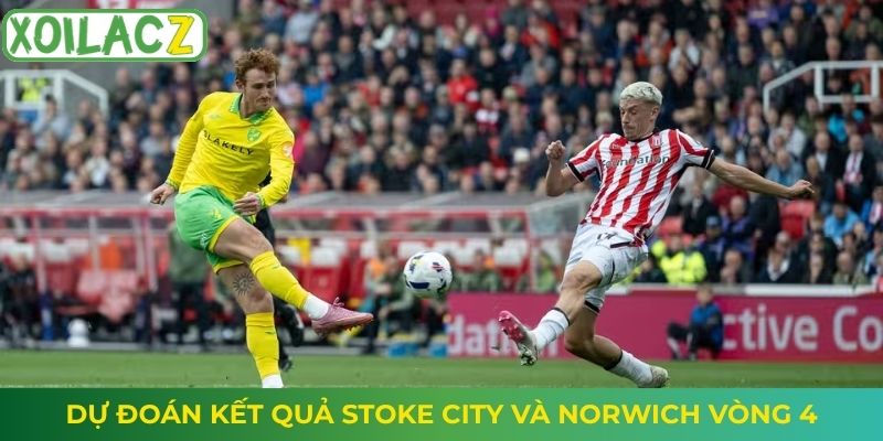 Dự đoán kết quả Stoke City và Norwich vòng 4